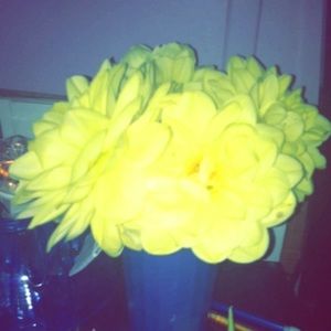 Meet your Posher, Wendy